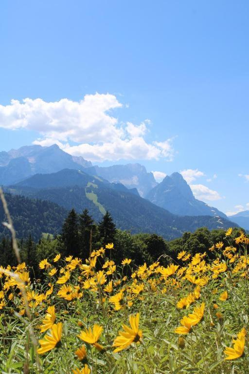 Pfeiffer Alm Am Sonnenhang Mit Blick Auf Die Zugspitze การ์มิช-พาร์เทนเคียร์เชน ภายนอก รูปภาพ